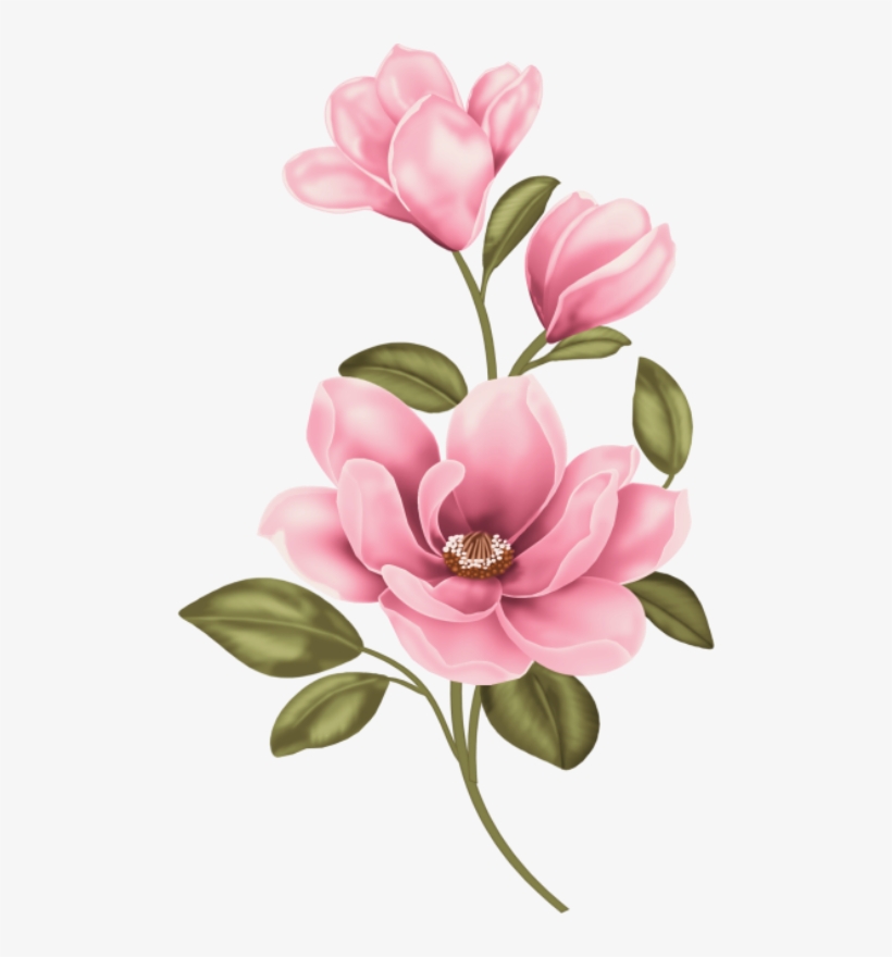 Фото, Автор Olinka - Magnolia Clipart, transparent png download