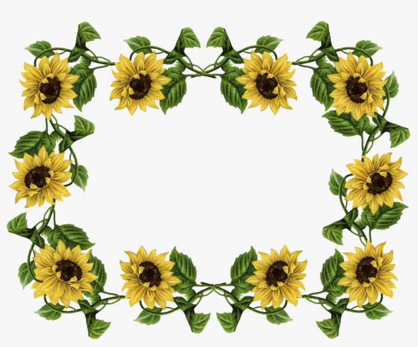 Flower Border Png - Sunflower Border, transparent png download