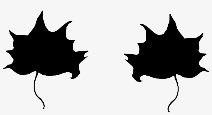 Download Png - Canadian Citizenship Congratulations Card, transparent png download