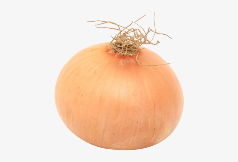 Download Onion Png Image - Onion, transparent png download