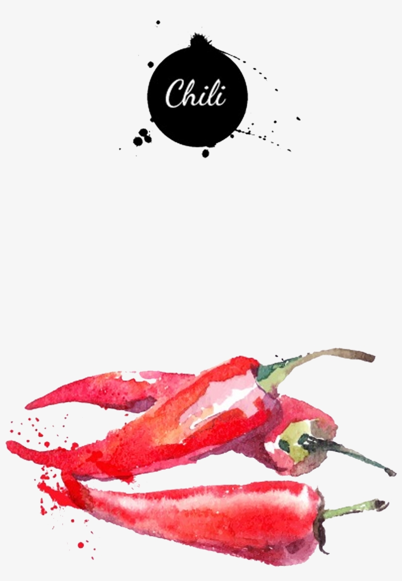 Chili Drawing Watercolor, transparent png download