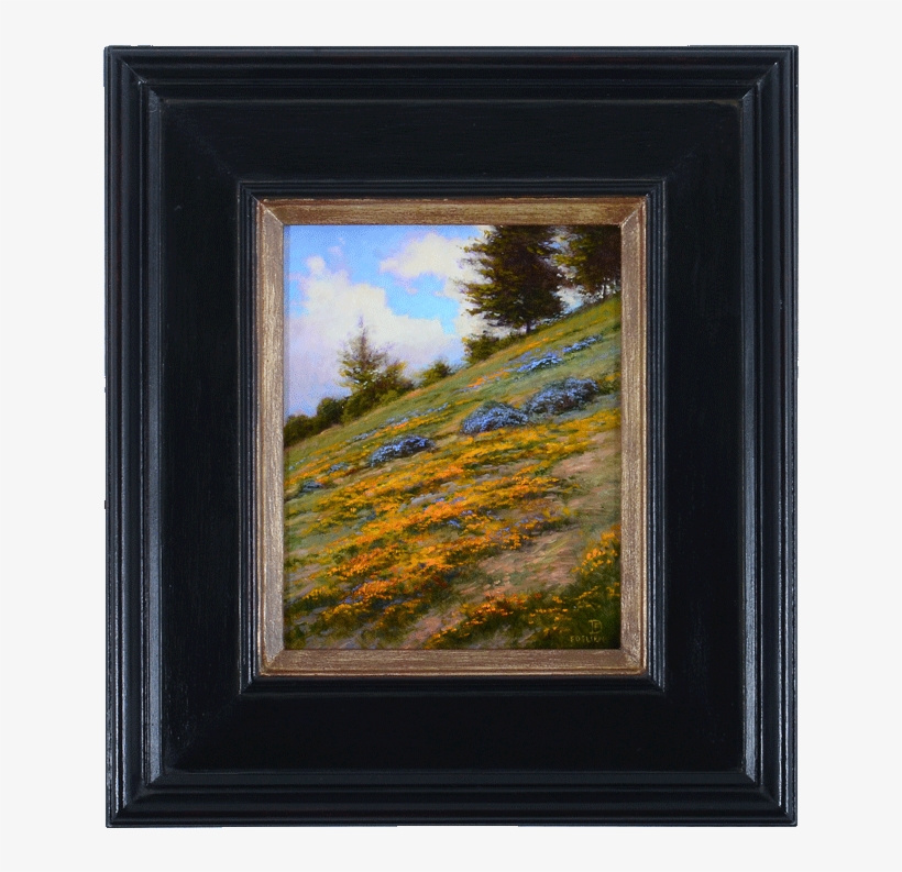 Oil On Board Bush - Picture Frame, transparent png download