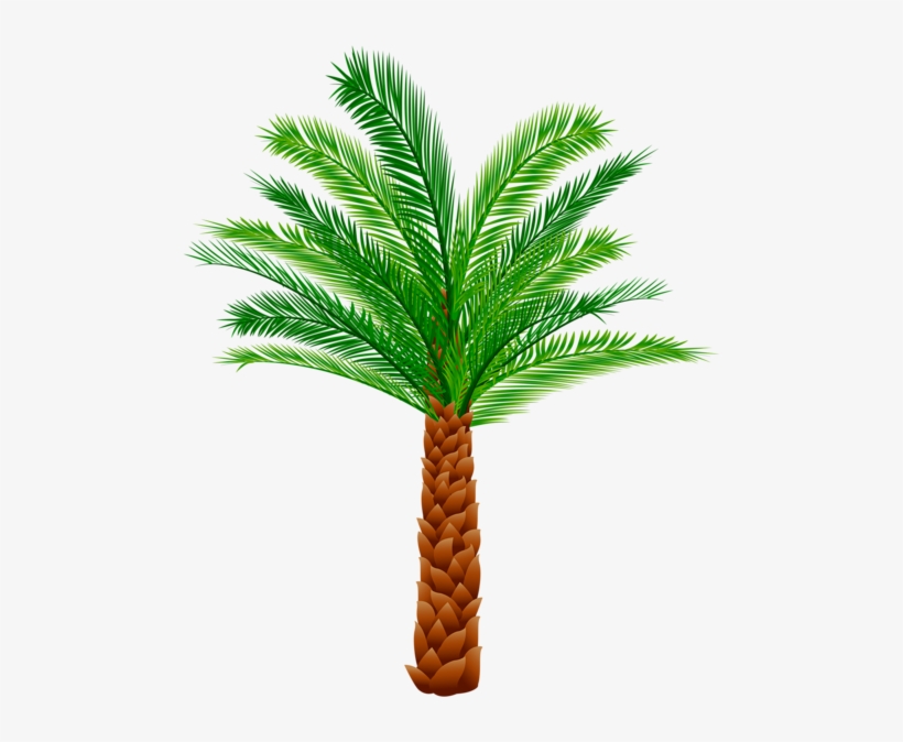 0, - Pond Pine, transparent png download