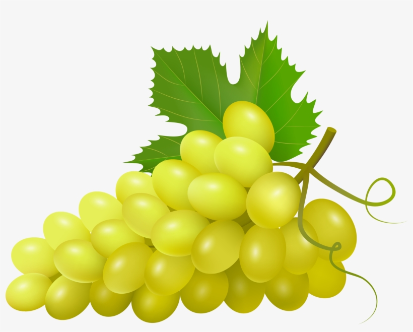 Svg Royalty Free Grapes Clipart Watercolor - Vector Qua Nho, transparent png download