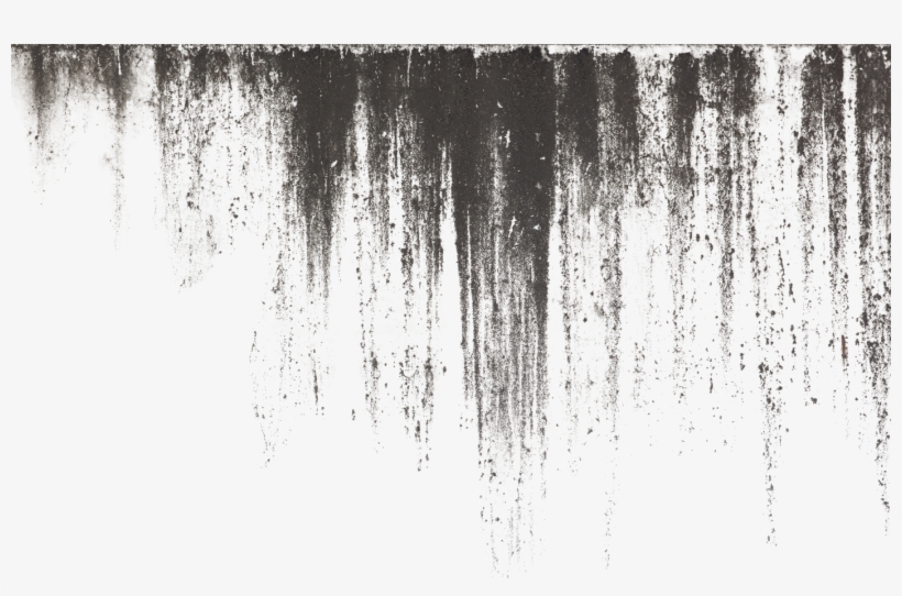 Banner Freeuse Stock Paper Photography Deviantart Wallpaper, transparent png download