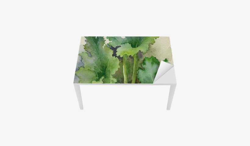 Watercolor Flora Collection - Squash Blossom, transparent png download