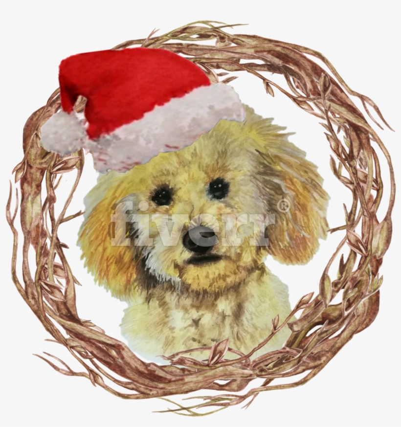 Toy Poodle, transparent png download
