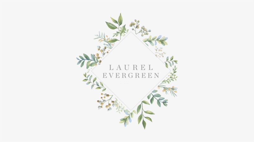 Laurel Evergreen Artistry - Illustration, transparent png download