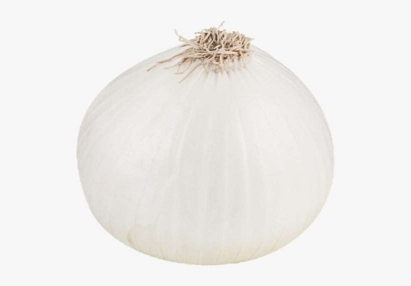 White Onion Png File - White Onion Png, transparent png download