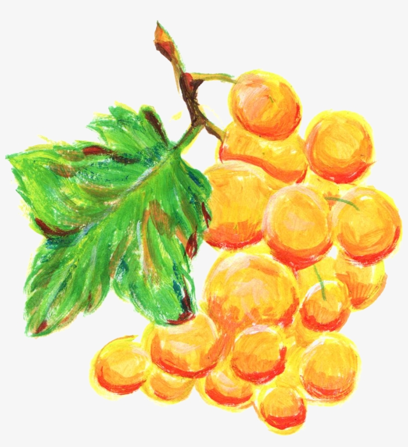 Free Download - Seedless Fruit, transparent png download