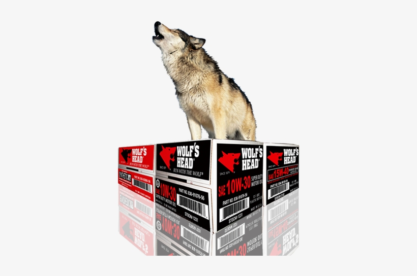 Since 1879, Wolf's Head Oil Company Has Been Producing - Wolf Head Motor Oil, transparent png download