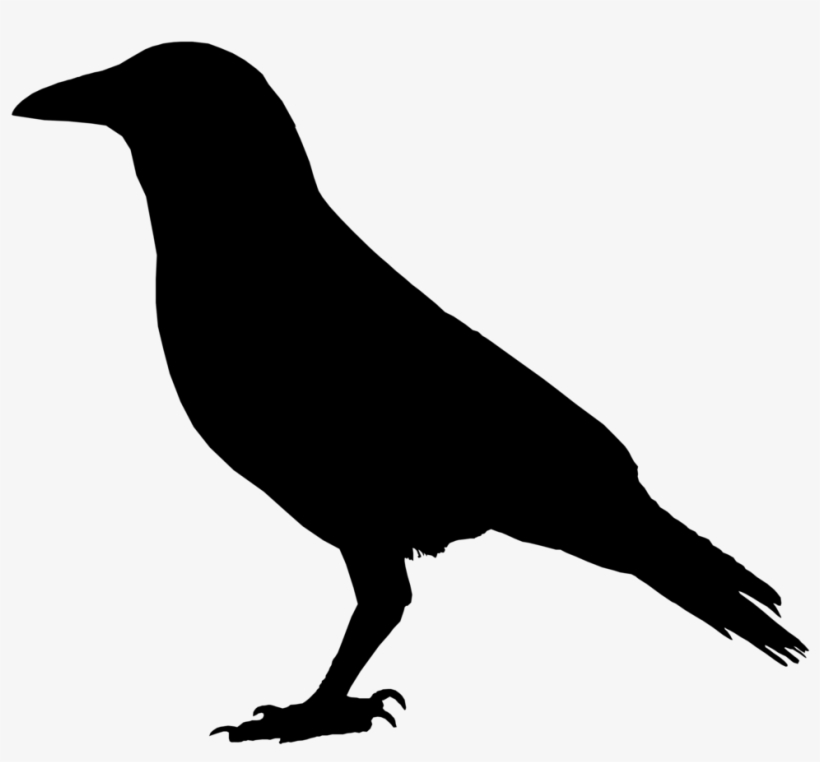 Download Common Raven Clip Art - Crow Clipart | Transparent PNG ...