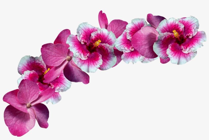 Flower Crown Png Transparent - Flower, transparent png download