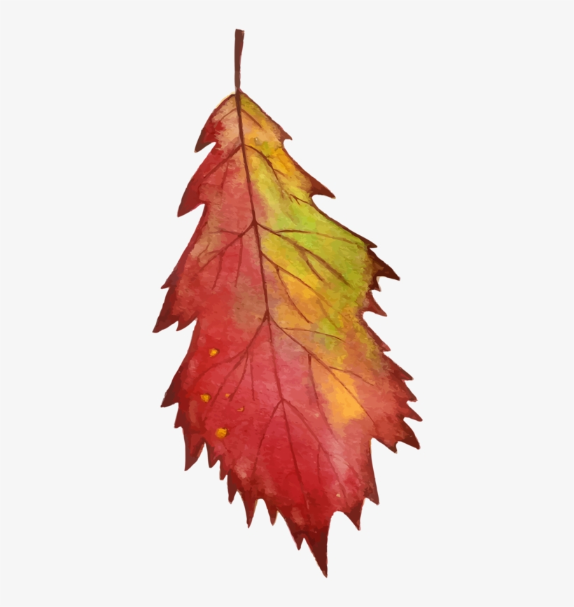 Pin By Geraldine Crowley On Watercolour - Autumn Leaves: Adult Coloring Book: Volume 3, transparent png download