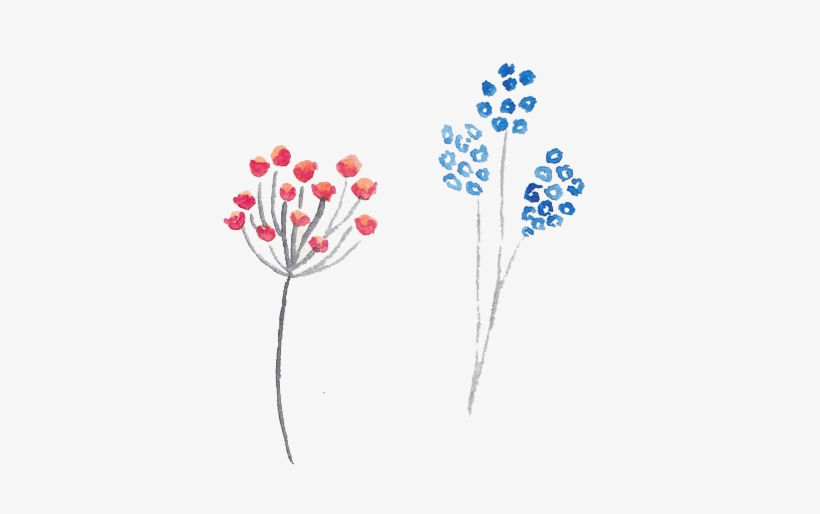 Free Watercolor Aquarelle Flowers And Leaves - Flowers Aquarelle Png, transparent png download