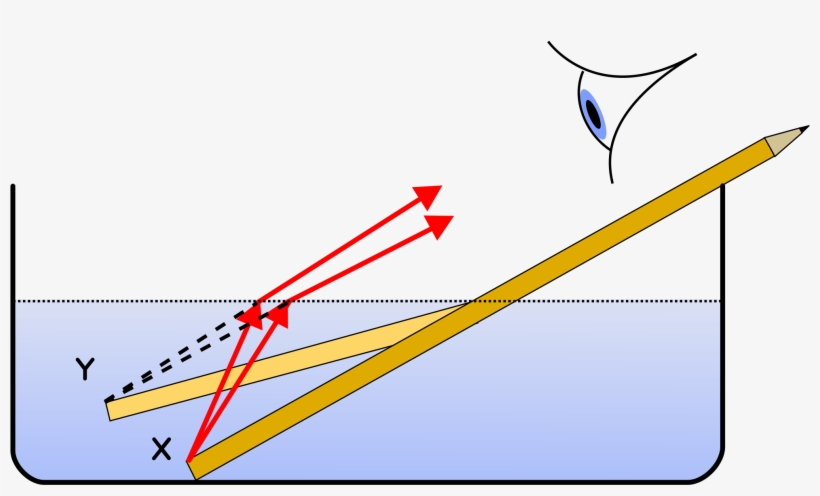 How Refraction Could Be Used In The Future - Pencil Floating On Water, transparent png download