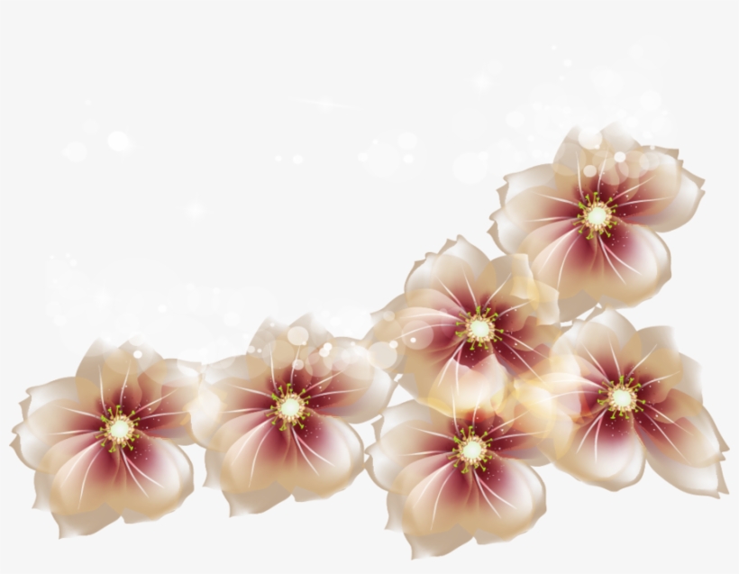 Transparent Image Of Flowers, transparent png download