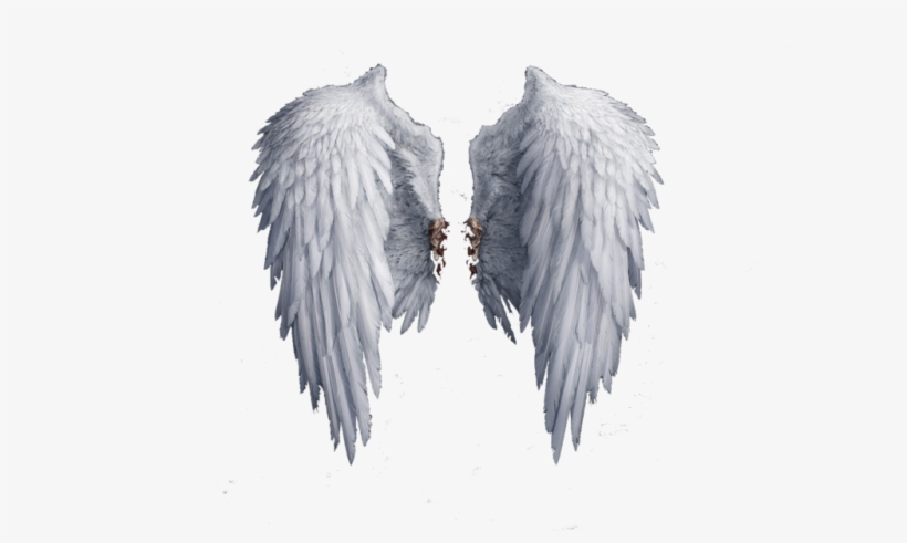 Angel Wings Png Photo - White Angel Wings, transparent png download