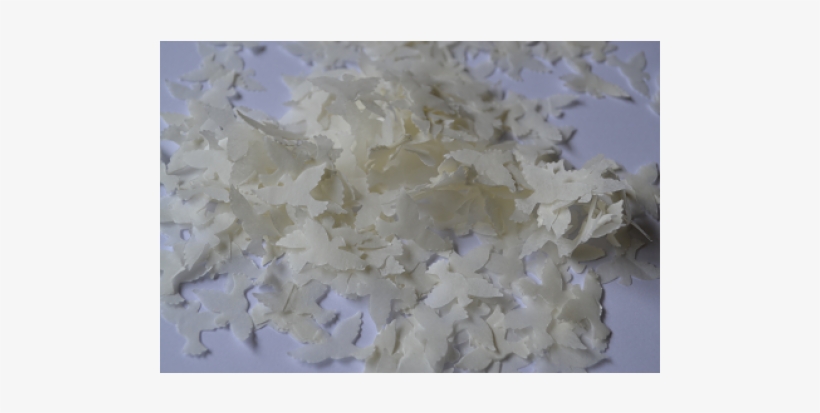 Pigeons And Doves, transparent png download