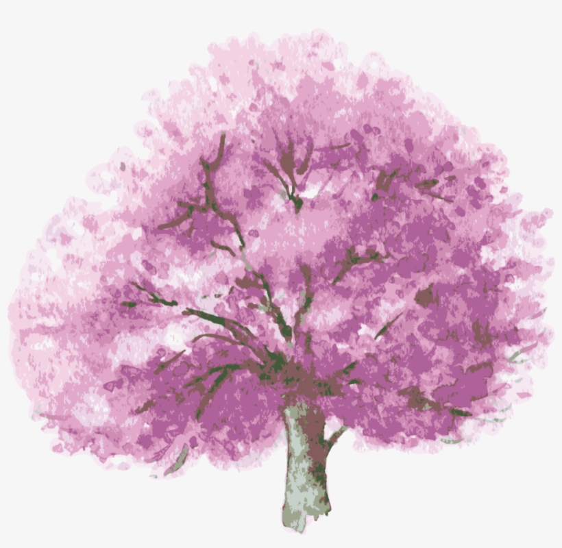 Ftestickers Watercolor Cherryblossom - Vector Graphics, transparent png download