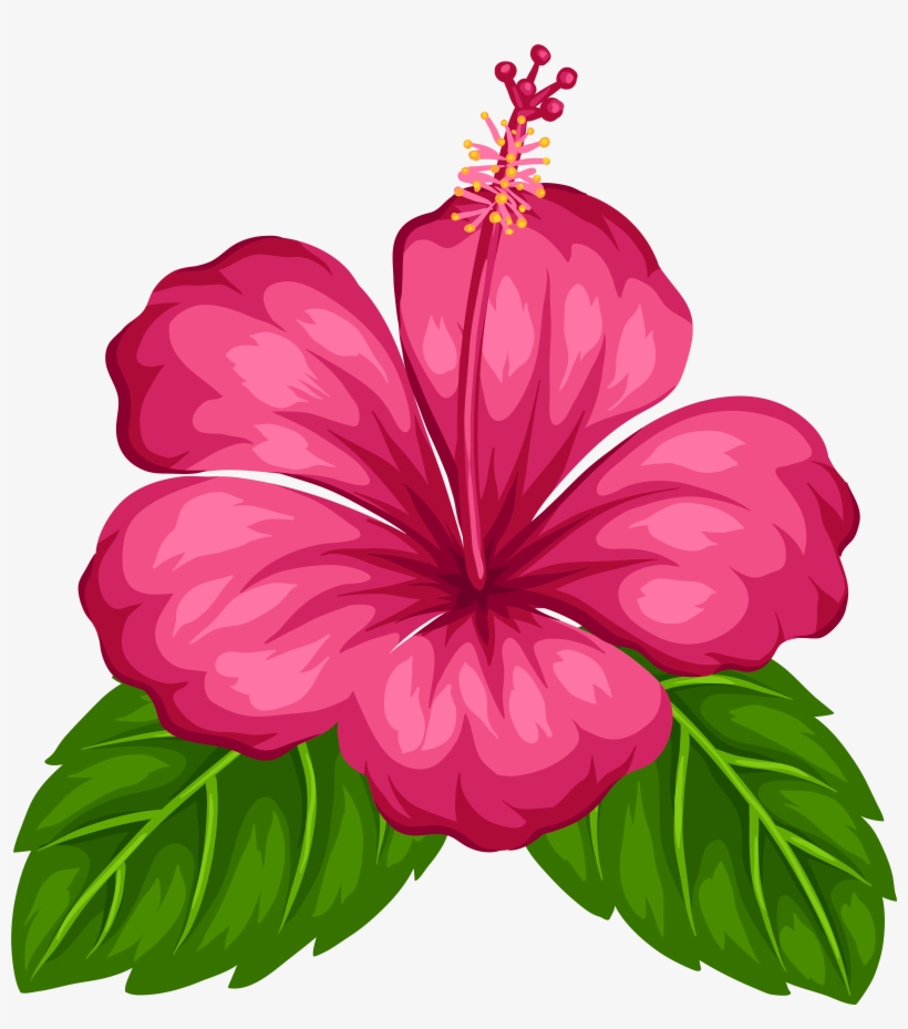 Exotic Flower Png Clip Art, transparent png download