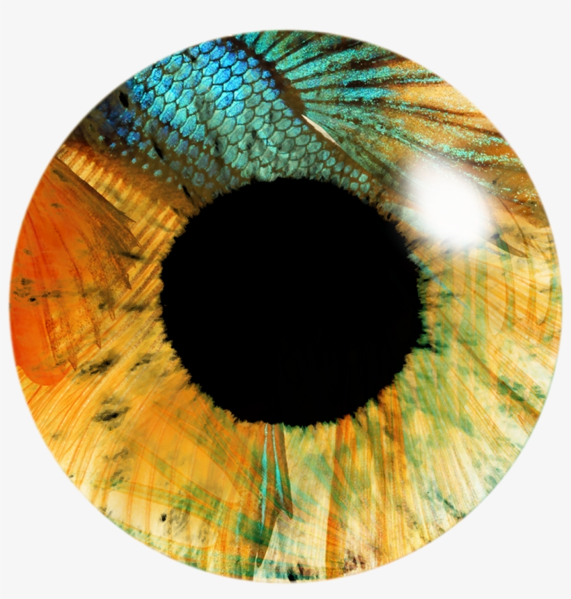 Download Kese Kare Abb Batt Ati Hai Ki Download Kese - Eye, transparent png download