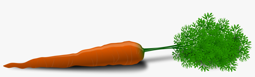 Carrot Root Vegetable Orange Colorful Gree - Carrot Clip Art, transparent png download