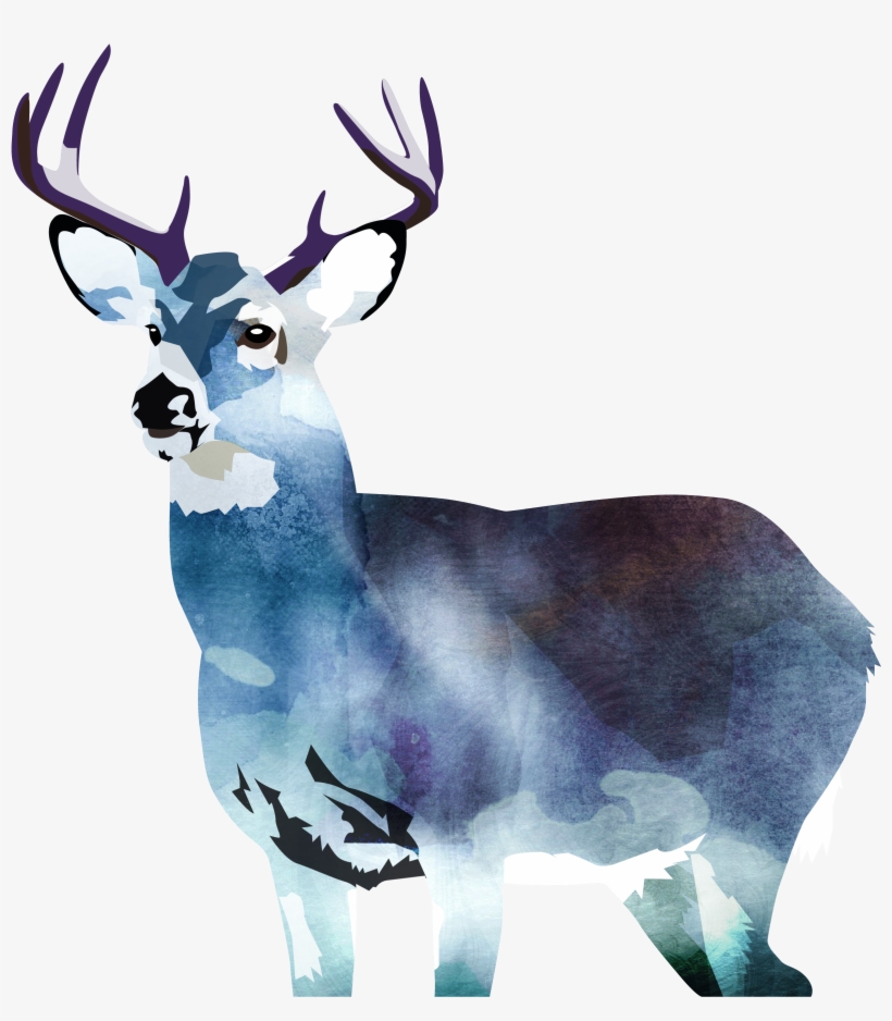 Canvas Print, transparent png download