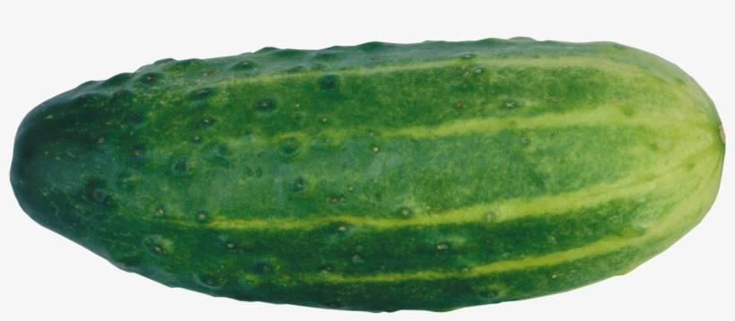 Cucumber Png - Cucumber Png No Background, transparent png download