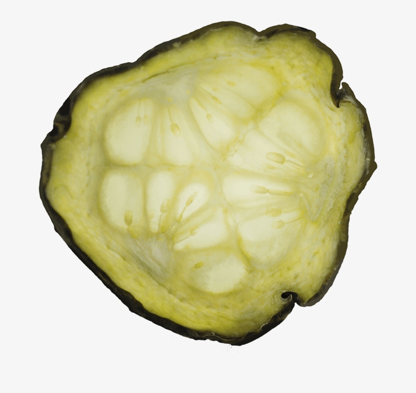 <a Href="/" - Cucumber, transparent png download