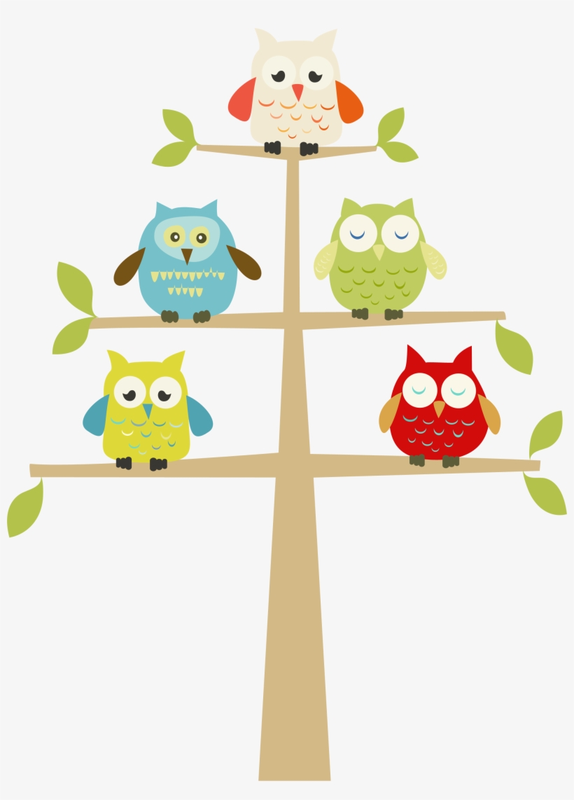Conclusion &, Affirmation - Baby Owl Clip Art, transparent png download