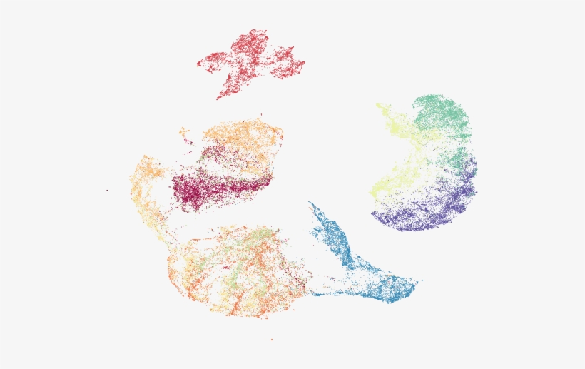 Uniform Manifold Approximation And Projection - Sketch, transparent png download