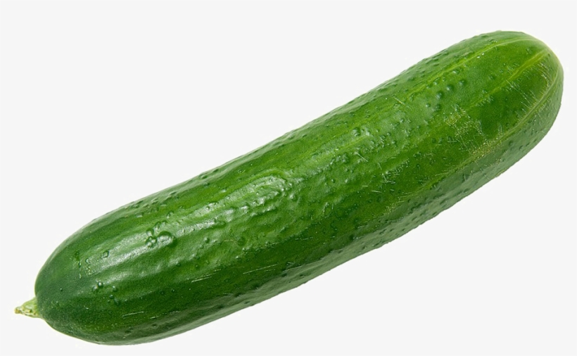 Single Png Image Arts - Green Cucumber, transparent png download