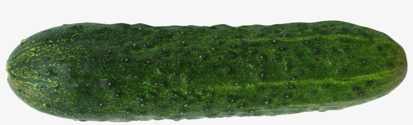 2020 X 736 - Portable Network Graphics, transparent png download