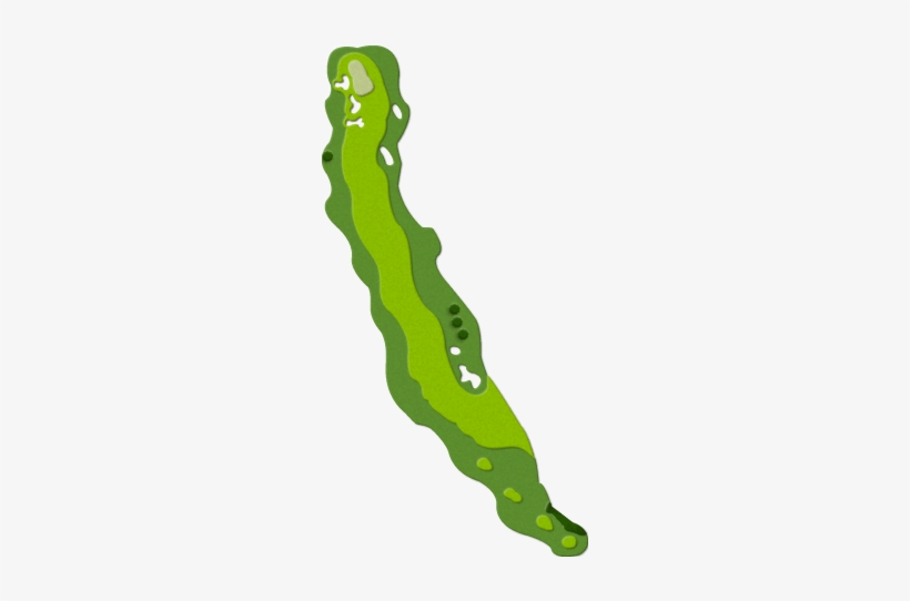 Step On The Green Grass And Experience The Thrill - Tree, transparent png download