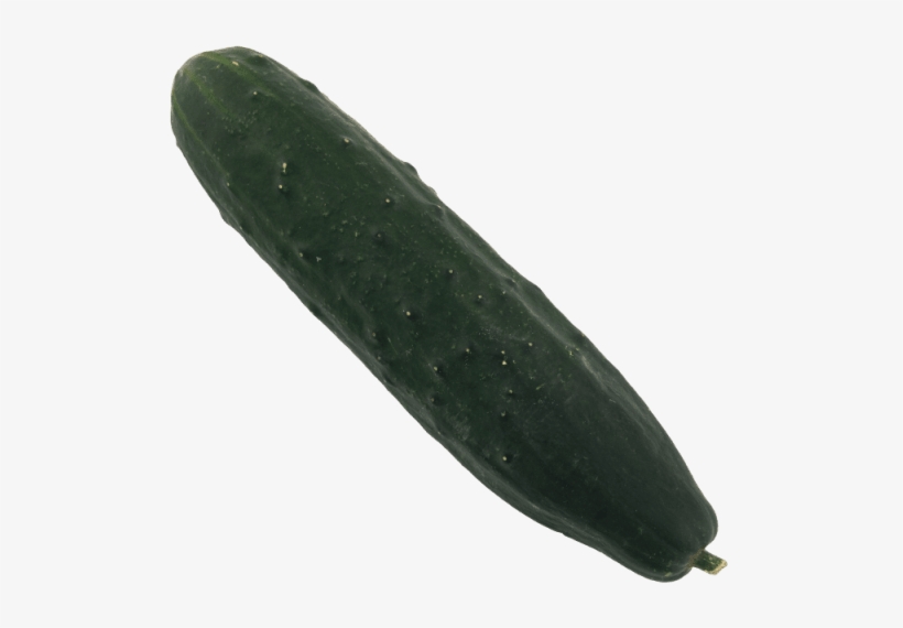 1 Unit - Cucumber - Pickled Cucumber, transparent png download