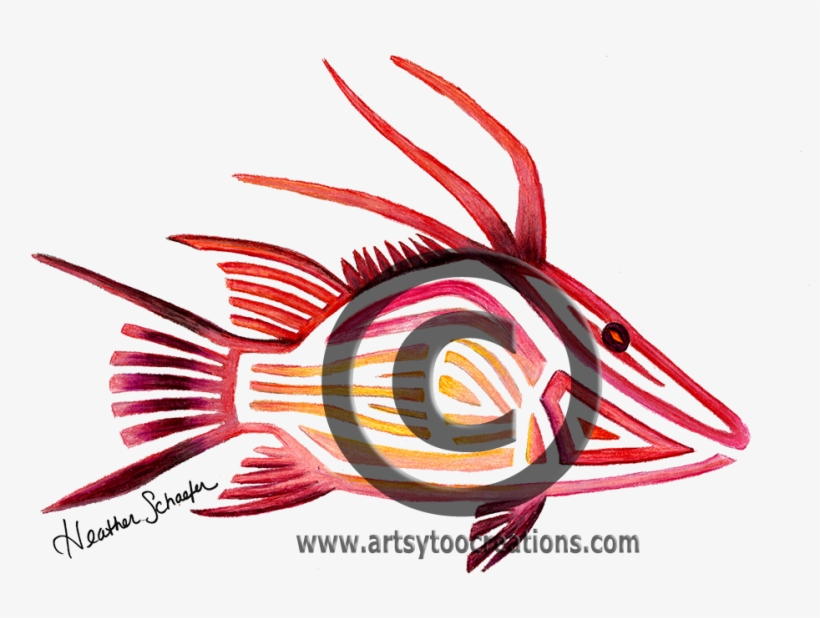 Black And White Library Hogfish Hand Drawn Original - Hogfish Samsung Galaxy S5 Slim Case By Artsytoocreations, transparent png download