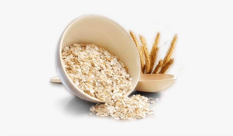 Three Bears Oats Home - Oat, transparent png download