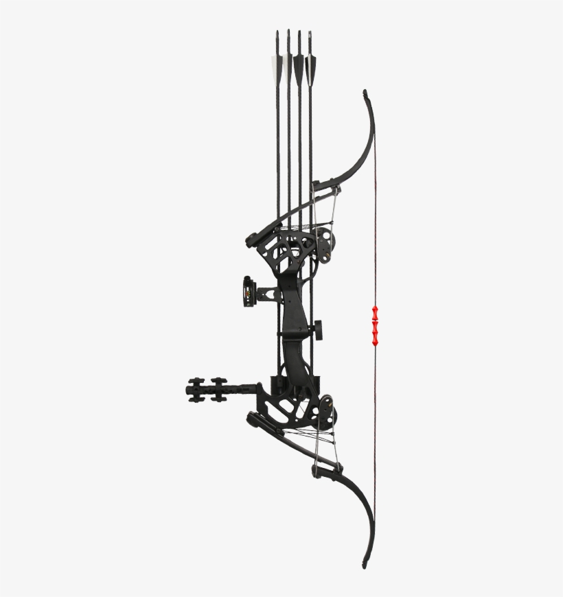 Bow And Arrow Compound Bow Pulley Bow Ancient Outdoor Bow And Arrow