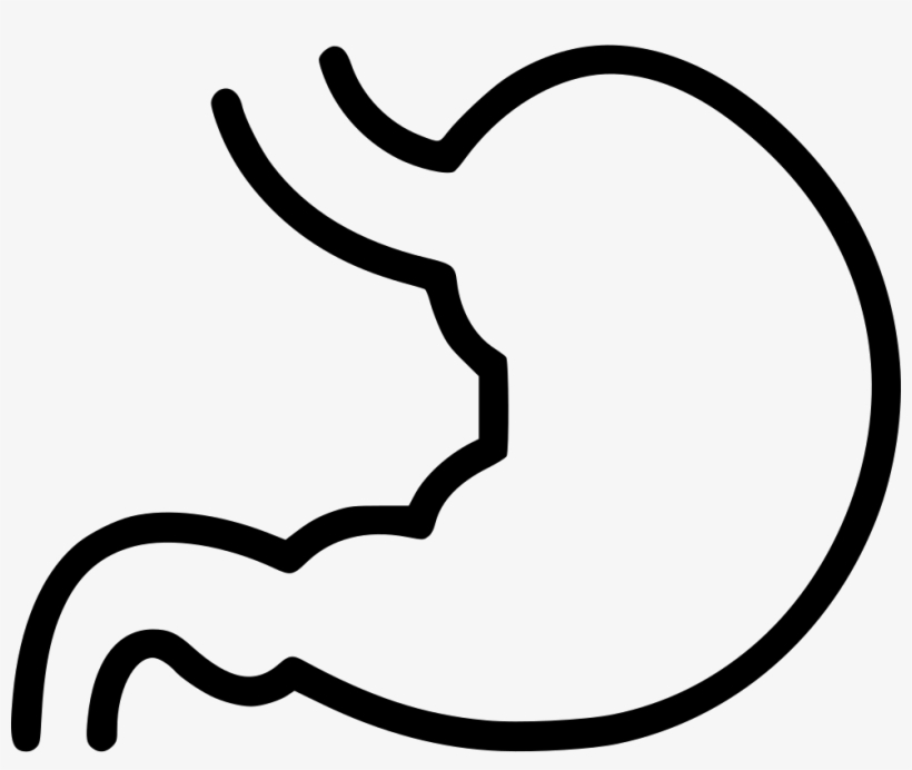 Png File Stomach Black And White Clipart Png Image Transparent Png Free Download On Seekpng