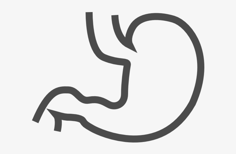 Stomach Clipart Black And White