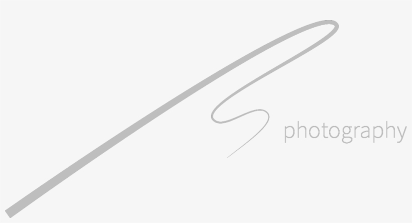 Sabina Mišmaš's Portfolio, transparent png download