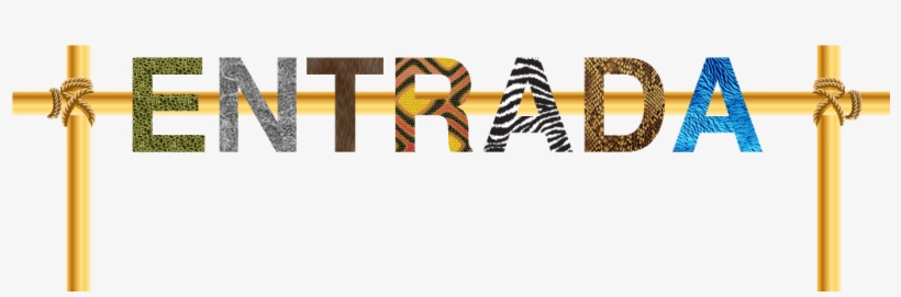 Catálogo De La Exposición "el Universo De Rafaely", transparent png download