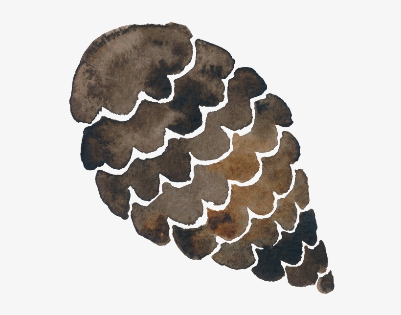 Png De La Tuerca De Pino, transparent png download