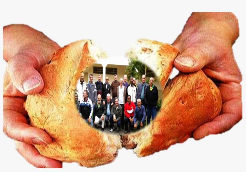 Na Vida Religiosa Consagrada Do Brasil, A Partir Do, transparent png download