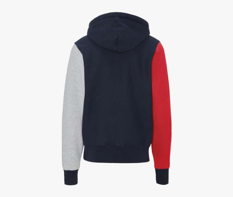 Champion Reverse Weave Colorblock P/o Hoodie, transparent png download