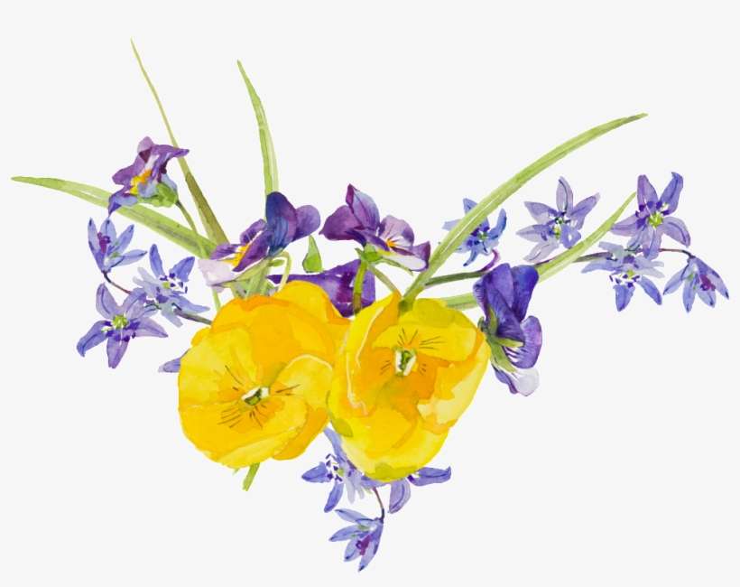 Acuarela Pintada A Mano Flor Png Transparente Amarillo, transparent png download