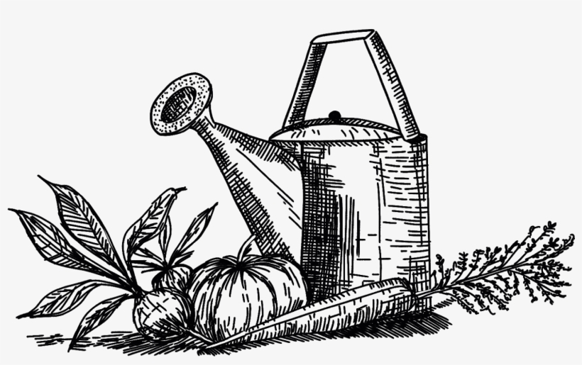 Faq Gardening And Our Backyard PNG Image Transparent PNG Free