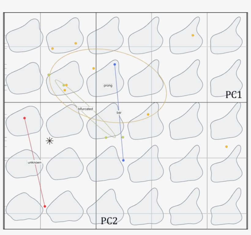 Biplot Of The Pca Performed On The High Quality Stegosaurus, transparent png download