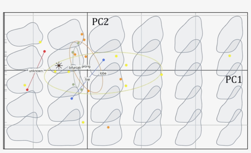 Biplot Of The Pca Performed On Stegosaurus Dorsal Plates, transparent png download